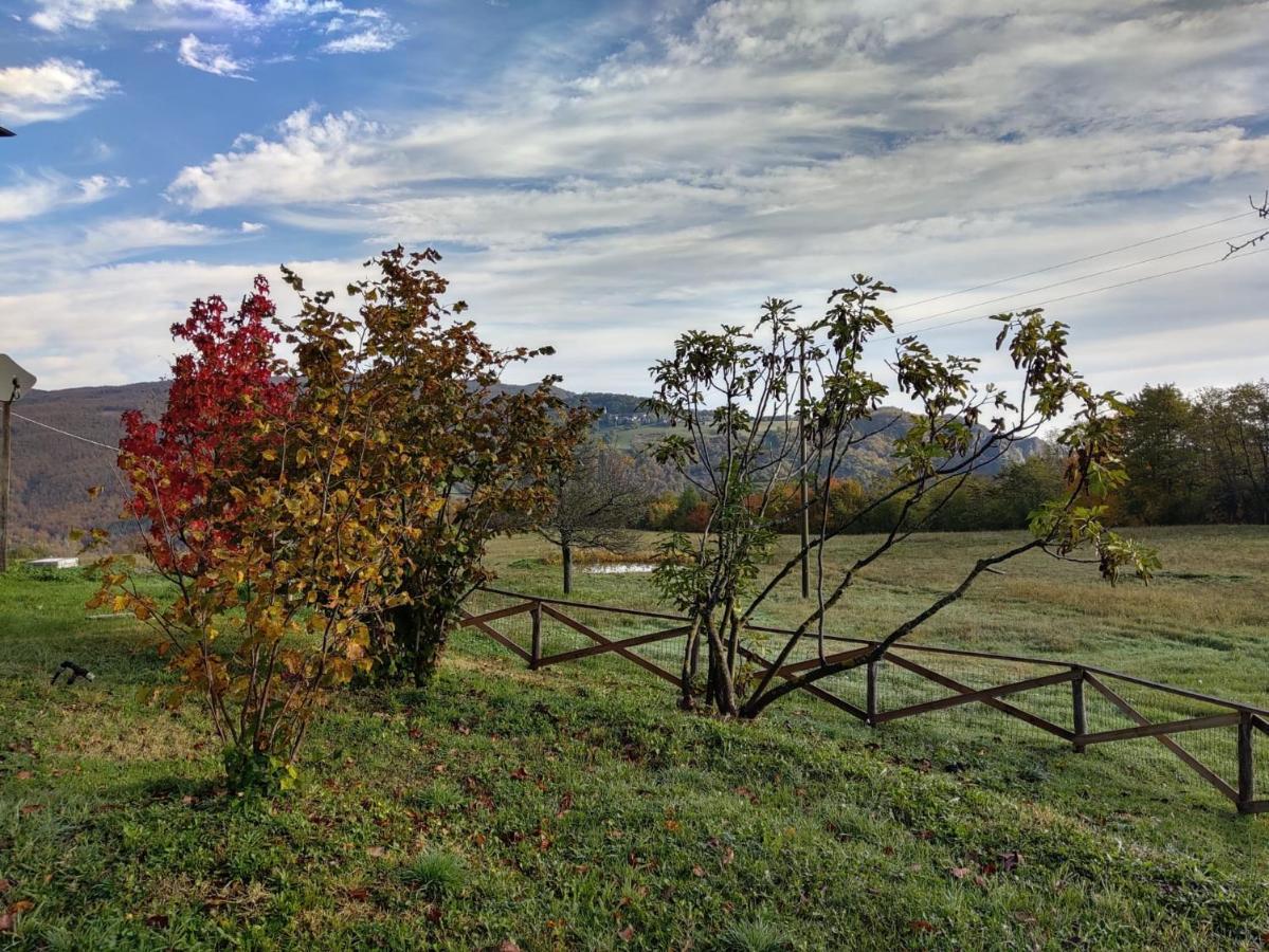 "Borgo Gerbina" Agriturismo & Azienda Agricola Sozzi エクステリア 写真